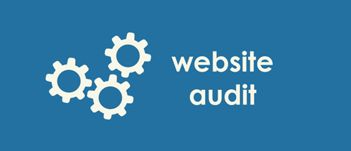 website-audit